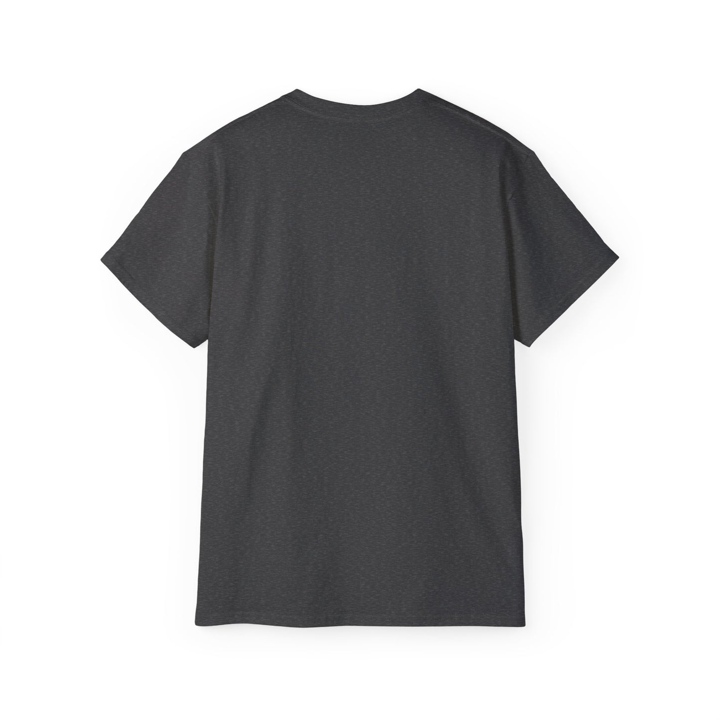 Raccoon Stealing the World Tee — 'Stealing the World' Graphic T-Shirt